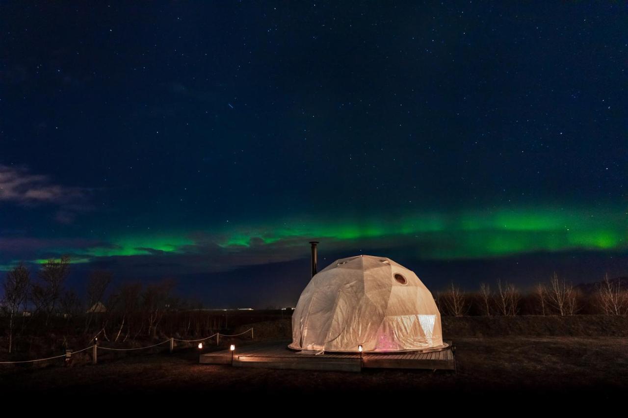 מלון Reykjavik Domes מראה חיצוני תמונה